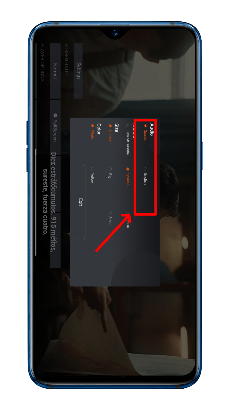 Multilingual Subtitle Support