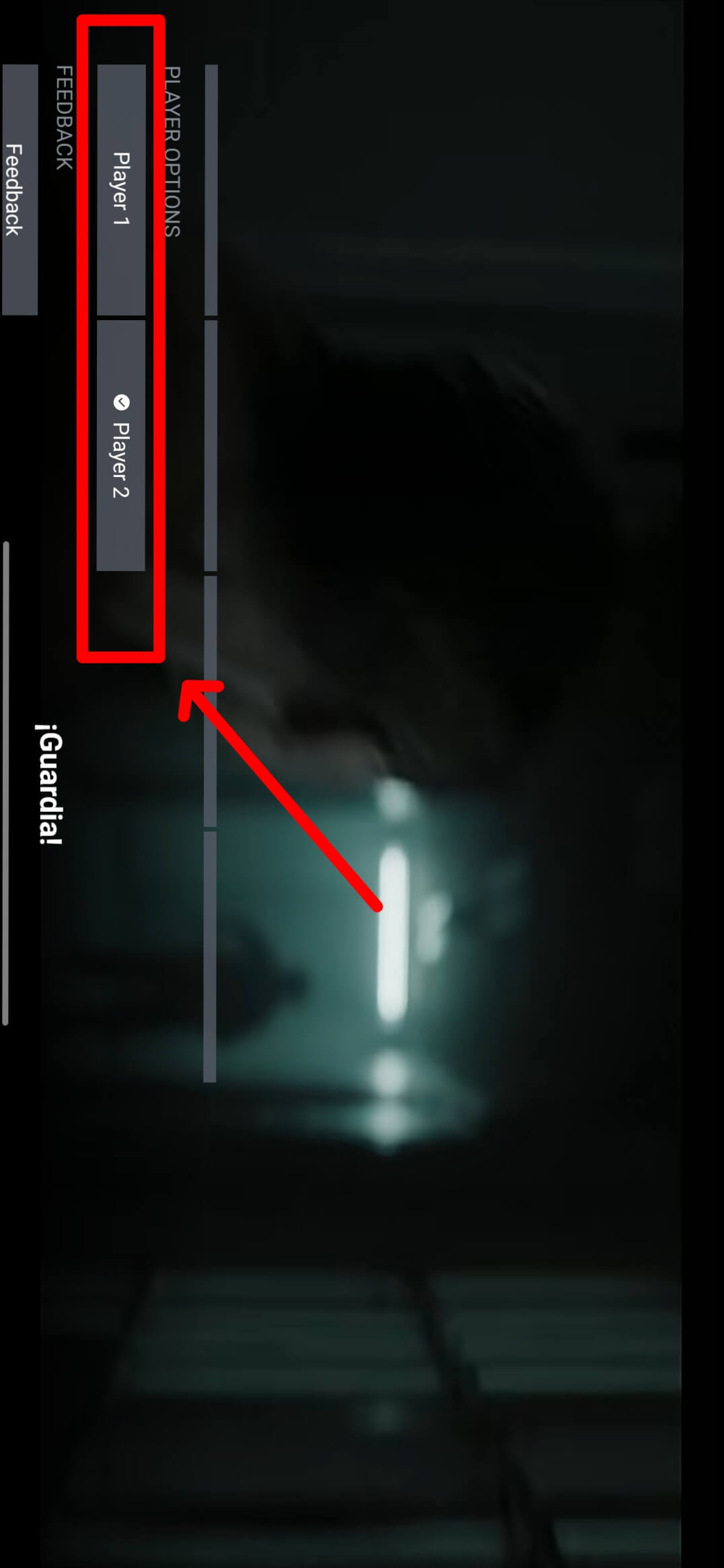External Player Support