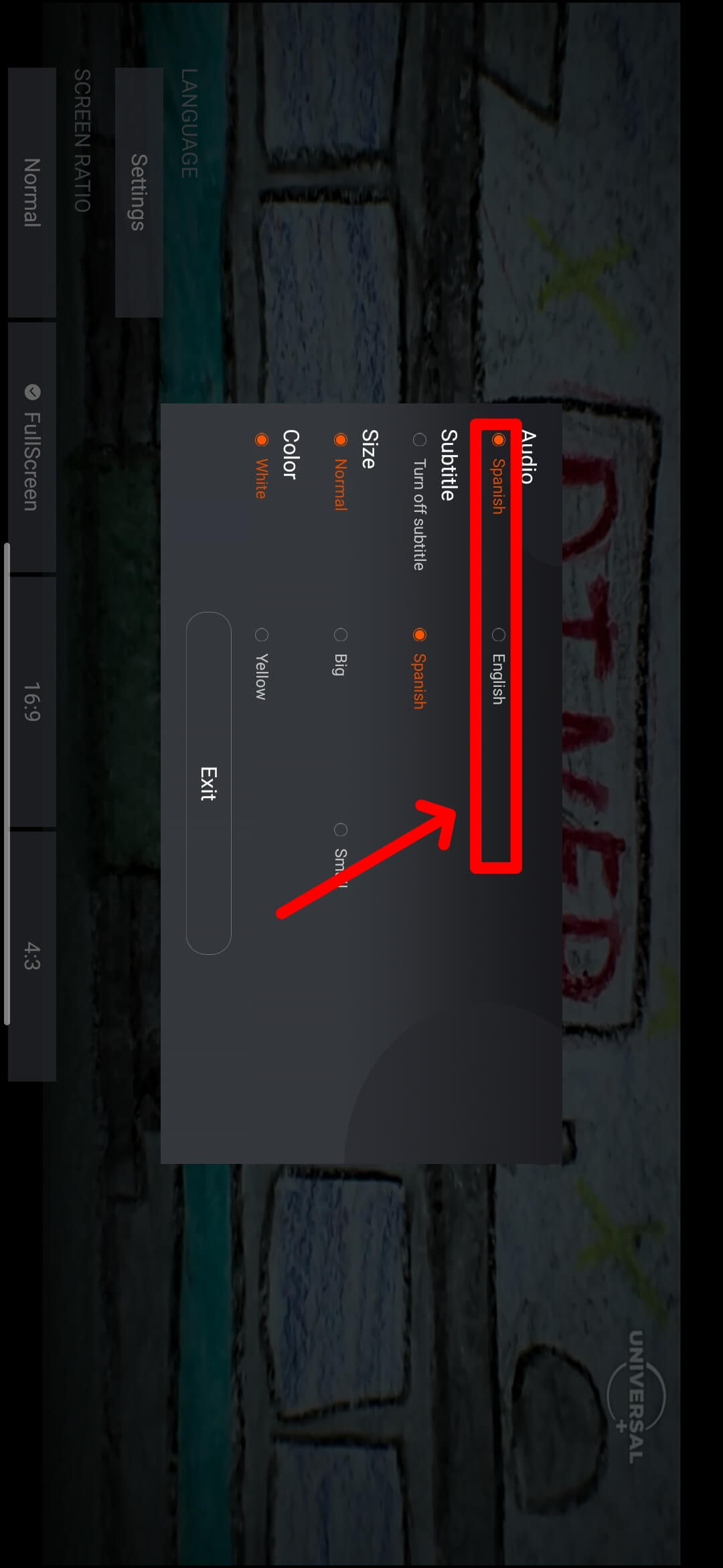 Multiple Language Audio Options