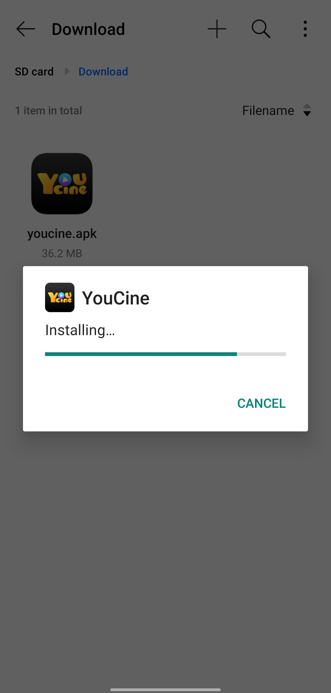 Install the APK File